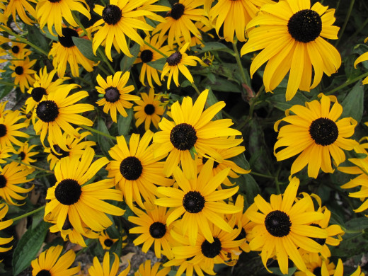 657759 (a): :1600x1200